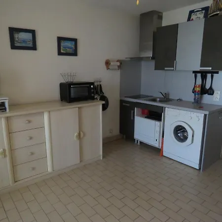 Studio Renove Avec Loggia Vitree, Vue Marina Et Parking Securise - Fr-1-472-135 公寓