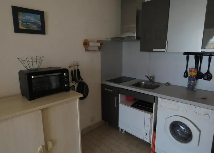 Studio rénové avec loggia vitrée, vue marina et parking sécurisé - FR-1-472-135 Appartamento *